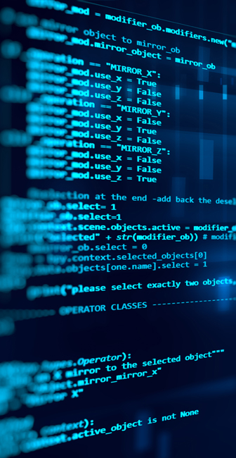 Screen image of Website back-end coding